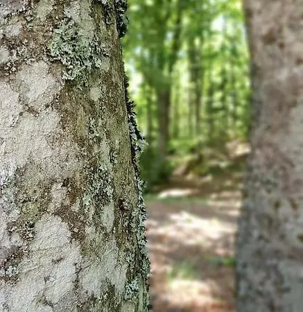 بيت شباب Casa Delle Guardie Rifugio Madonna di Fornelli